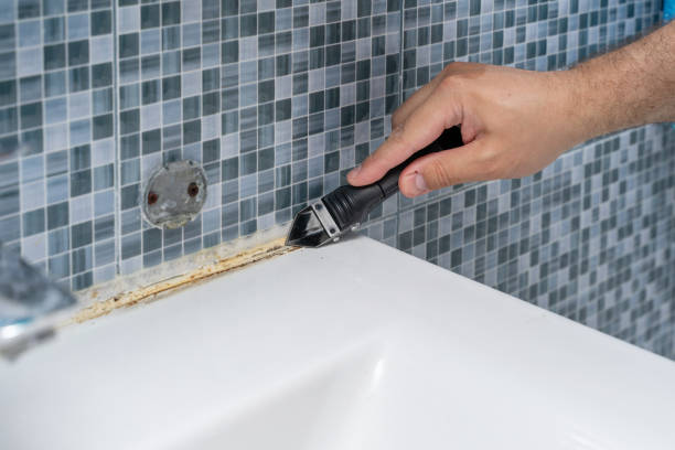 Best Bathroom Mold Remediation in Riverse, ID